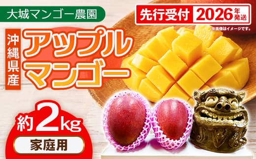 【先行受付】【2026年発送】大城マンゴー農園 マンゴー 家庭用 約2kg - 先行予約 アップルマンゴー 沖縄 産地直送 南国フルーツ 旬の味覚 ご自宅用 オススメ 沖縄県 八重瀬町
