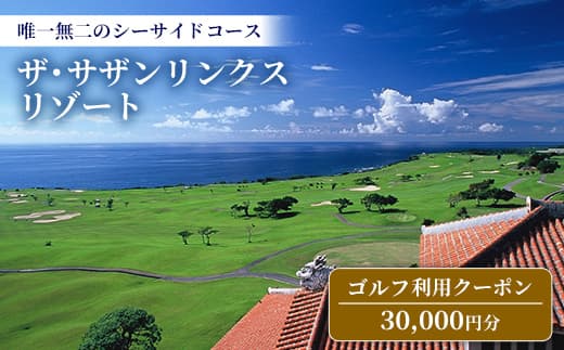 【ザ・サザンリンクスリゾート】 ゴルフ利用クーポン30.000円分 - 旅行 沖縄旅行 リゾートゴルフ 利用券 ゴルフ場利用券 リゾート クーポン券 沖縄県 八重瀬町 (管理コード:F003)