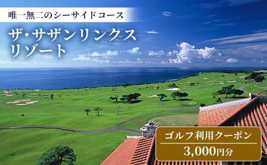 【ザ・サザンリンクスリゾート】 ゴルフ利用クーポン3.000円分 - 旅行 沖縄旅行 リゾートゴルフ 利用券 ゴルフ場利用券 リゾート クーポン券 沖縄県 八重瀬町 (管理コード:F001)