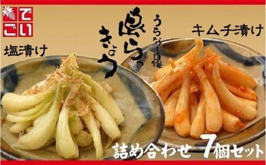 島らっきょう塩漬け・キムチ漬け 詰め合わせ7個セット - らっきょう漬け 国産 沖縄県産 らっきょ 島らっきょ 疲労回復 滋養強壮 人気 漬物 沖縄県 八重瀬町 (管理コード:X002)