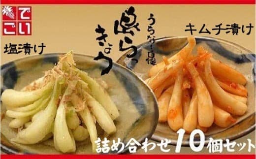島らっきょう塩漬け・キムチ漬け 詰め合わせ10個セット - らっきょう漬け 国産 沖縄県産 らっきょ 島らっきょ 疲労回復 滋養強壮 人気 漬物 沖縄県 八重瀬町 (管理コード:X003)