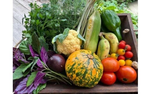 ★沖縄県八重瀬町産★旬なカラフル野菜つめ合わせセット - 野菜 野菜詰め合わせ 国産 沖縄県産 新鮮 色鮮やか 映え 島らっきょう シークヮーサー 青パパイヤ 南国 沖縄県 八重瀬町 (管理コード:ZX001)