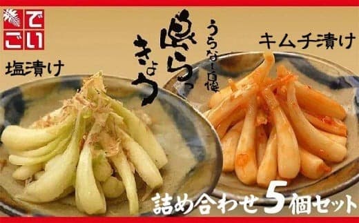 島らっきょう塩漬け・キムチ漬け 詰め合わせ5個セット - らっきょう漬け 国産 沖縄県産 らっきょ 島らっきょ 疲労回復 滋養強壮 人気 漬物 沖縄県 八重瀬町 (管理コード:X001)