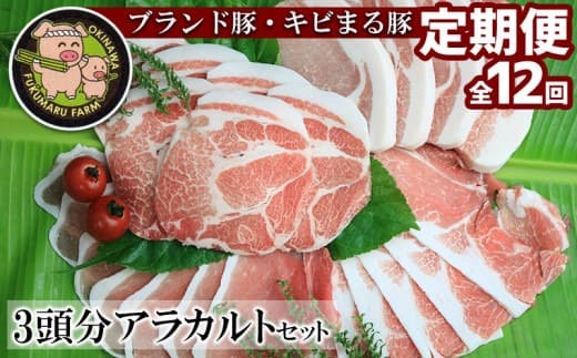 【定期便:12回】 ブランド豚・キビまる豚3頭分アラカルトセット(約146kg)- 豚肉 定期便 12ヶ月 3頭分 ステーキ 焼肉 しゃぶしゃぶ カットオーダー可能 キビまる豚 堪能セット 豚しゃぶ 豚ロース 肩ロース 豚バラ ウデ肉 モモ肉 ヒレ 沖縄 ブランド豚 贅沢 堪能 定期便 沖縄県 八重瀬町 (管理コード:NN027)