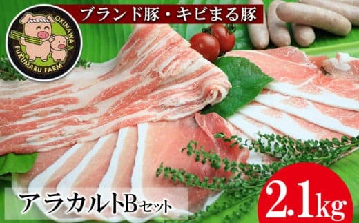 【夏のおすすめ特集】【ブランド豚・キビまる豚】アラカルトセットB(2.1kg)- 豚肉 小分け しゃぶしゃぶ 豚バラ 焼肉 ウデ モモ肉 ソーセージ 詰め合わせ セット たっぷり 2.1kg 使いやすい 人気 ブランド豚 沖縄県 八重瀬町 (管理コード:NN020)