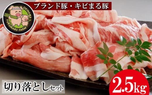 【ブランド豚・キビまる豚】切り落とし 約2.5kg - 豚肉 小分け 500gずつ 部位混合 色々楽しめる 人気 しょうが焼き 肉じゃが 豚丼 豚キムチ 肉巻き アレンジ 色々 人気 ブランド豚 おすすめ 沖縄県 八重瀬町【価格改定】 (管理コード:NN001)