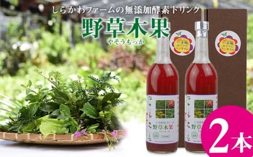 <しらかわファーム>無添加酵素ドリンク「野草木果(やそうもっか)2本」- 無添加 酵素ドリンク こだわり 果物 野菜 ハーブ 88種 沖縄県産 2本 セット 飲みやすい おすすめ 沖縄県 八重瀬町 (管理コード:H010)