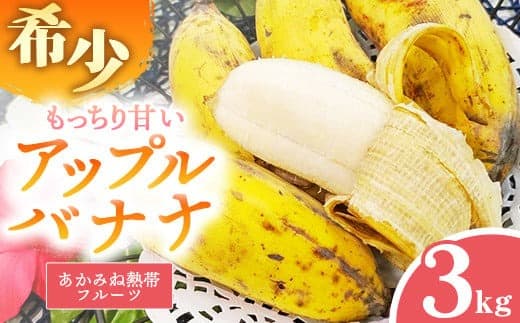 【フルーツ特集】【希少栽培種】あかみね熱帯フルーツのアップルバナナ約3kg - 国産 希少種 フレッシュ 小ぶり 食べやすい おすすめ 沖縄県 八重瀬町 (管理コード:B/AKAMINE001)
