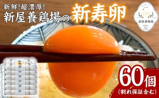 新鮮!超濃厚!新屋養鶏場の【新寿卵】- 卵 鶏卵 50個+10個 60個 割れ保障込 たまご タマゴ 玉子 玉子焼き 卵かけご飯 オムレツ 料理 人気 おすすめ 沖縄県 八重瀬町【価格改定】 (管理コード:tamago001)