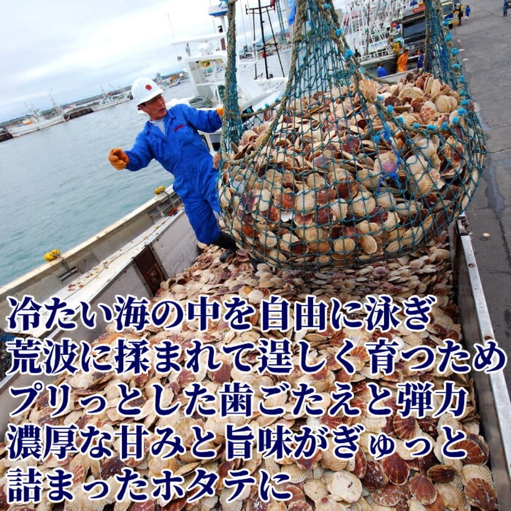 120-36 【定期便6か月】北海道オホーツク海産ホタテ玉冷バラエティサイズ(1kg)×6回| 訳あり サイズ不揃い