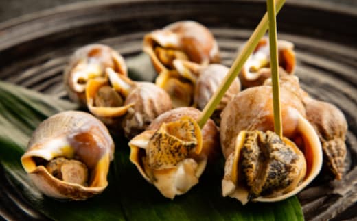 10-536 エゾばい貝(磯ツブ)『醤油煮』900g(300g×3)