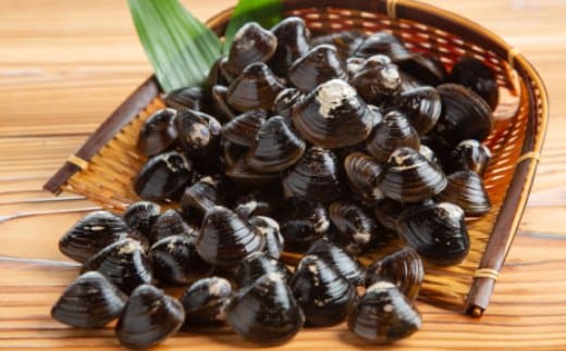 12-189 冷凍砂出ししじみ 5袋セット