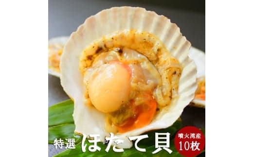 15-293 北海道産ホタテハーフシェル【BBQ用片殻付きほたて】
