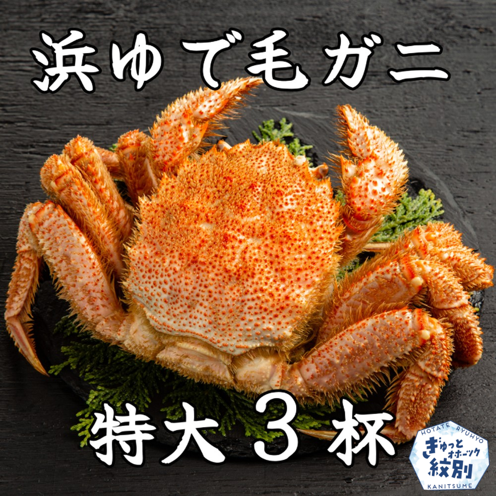 78-16 流氷明け浜ゆで毛ガニ 特大3杯