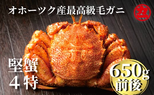 24-55 北海道産ボイル毛がに【四特】 大サイズ1尾入り(1尾約650g前後)