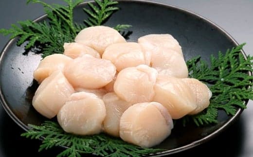 23-78 北海道オホーツク海産ほたて玉冷1kg