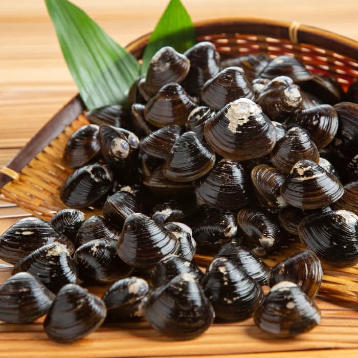 10-497 冷凍砂出ししじみ 3袋セット