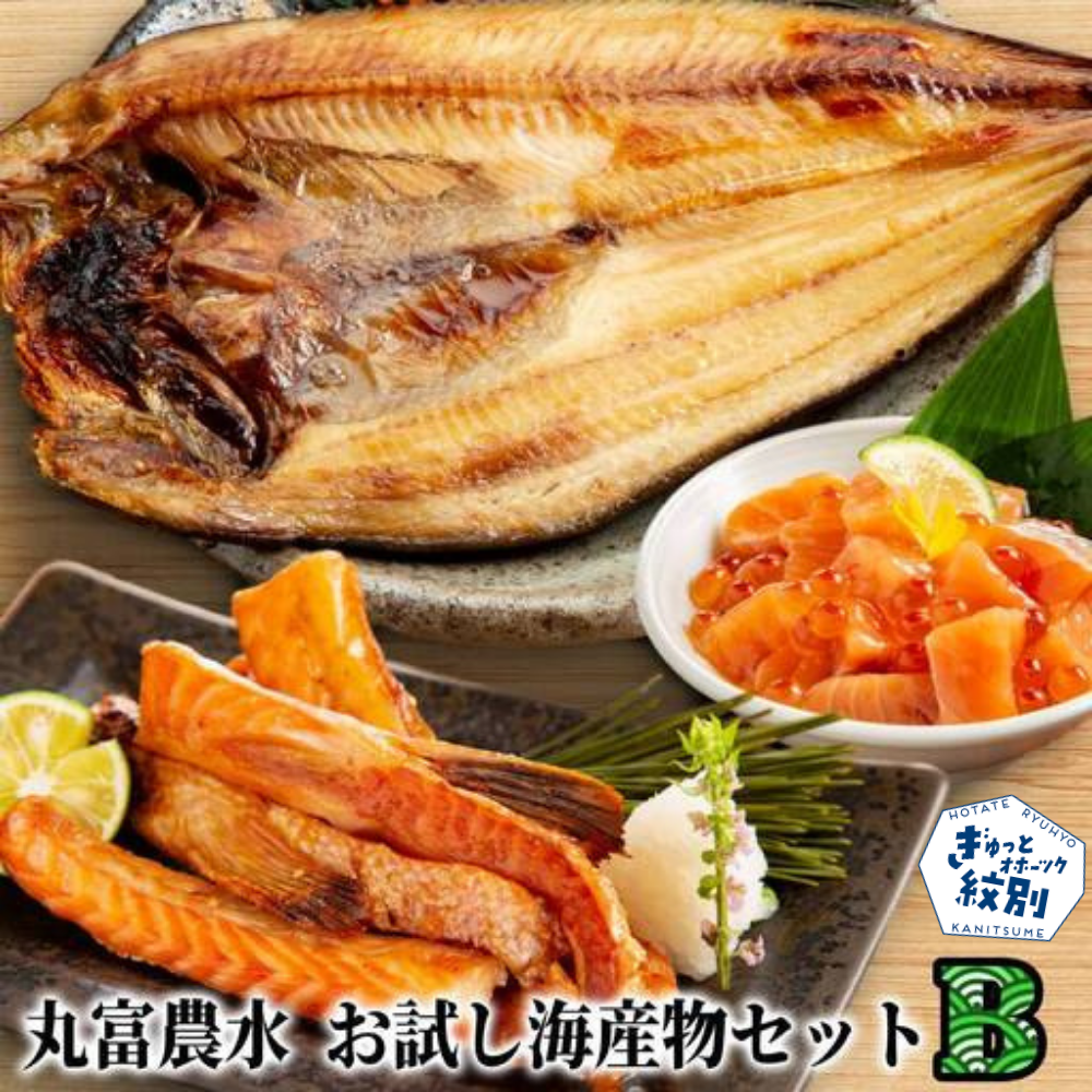 13-362 丸富農水お試し海産物セットB