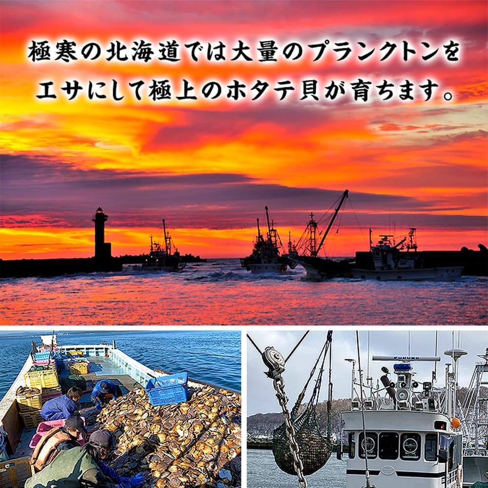 24-121 【甲羅組】【訳あり】ほたて貝柱 1kg【欠け/サイズ不揃い】