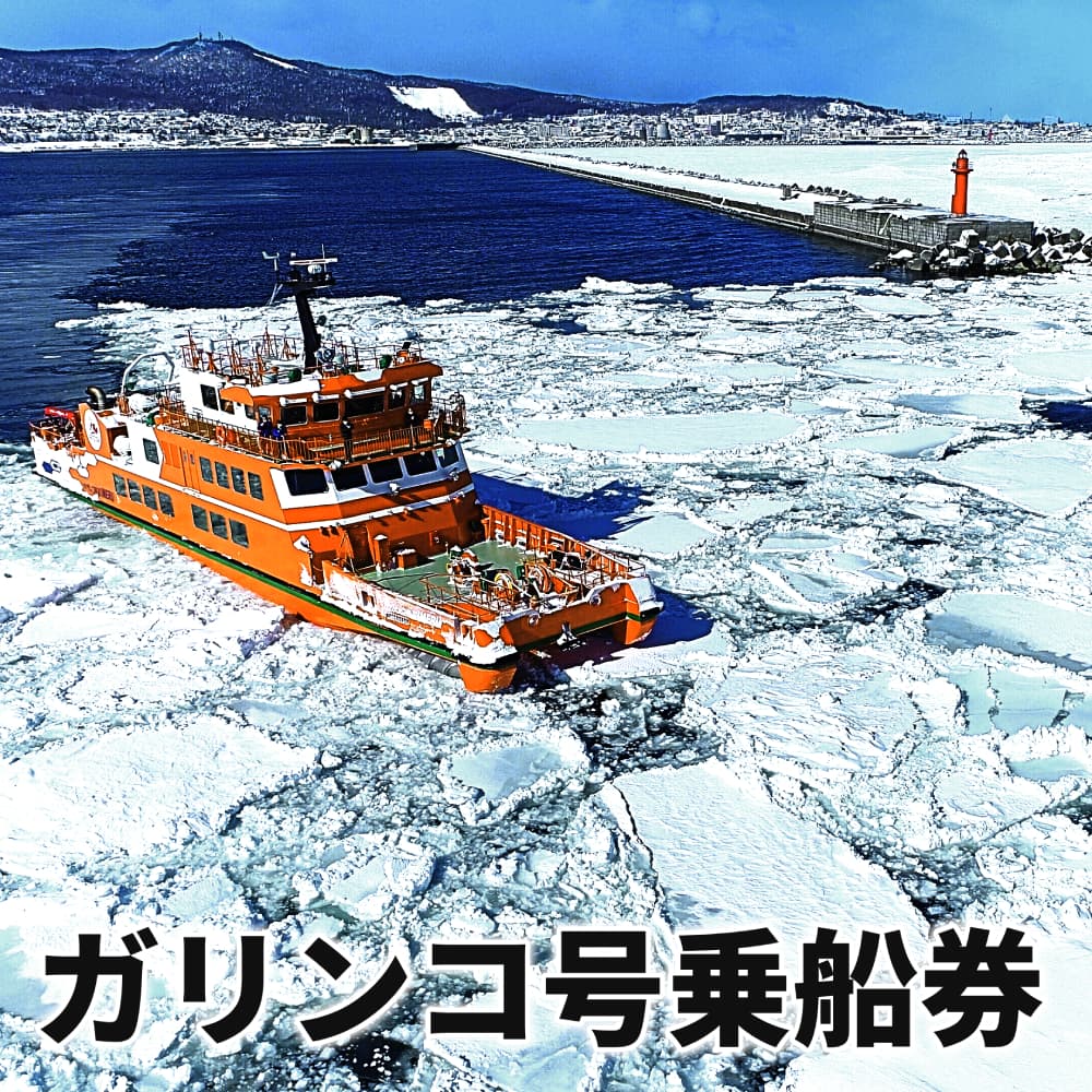 20-307 ガリンコ号3 IMERU 冬期運航 流氷クルーズ乗船券