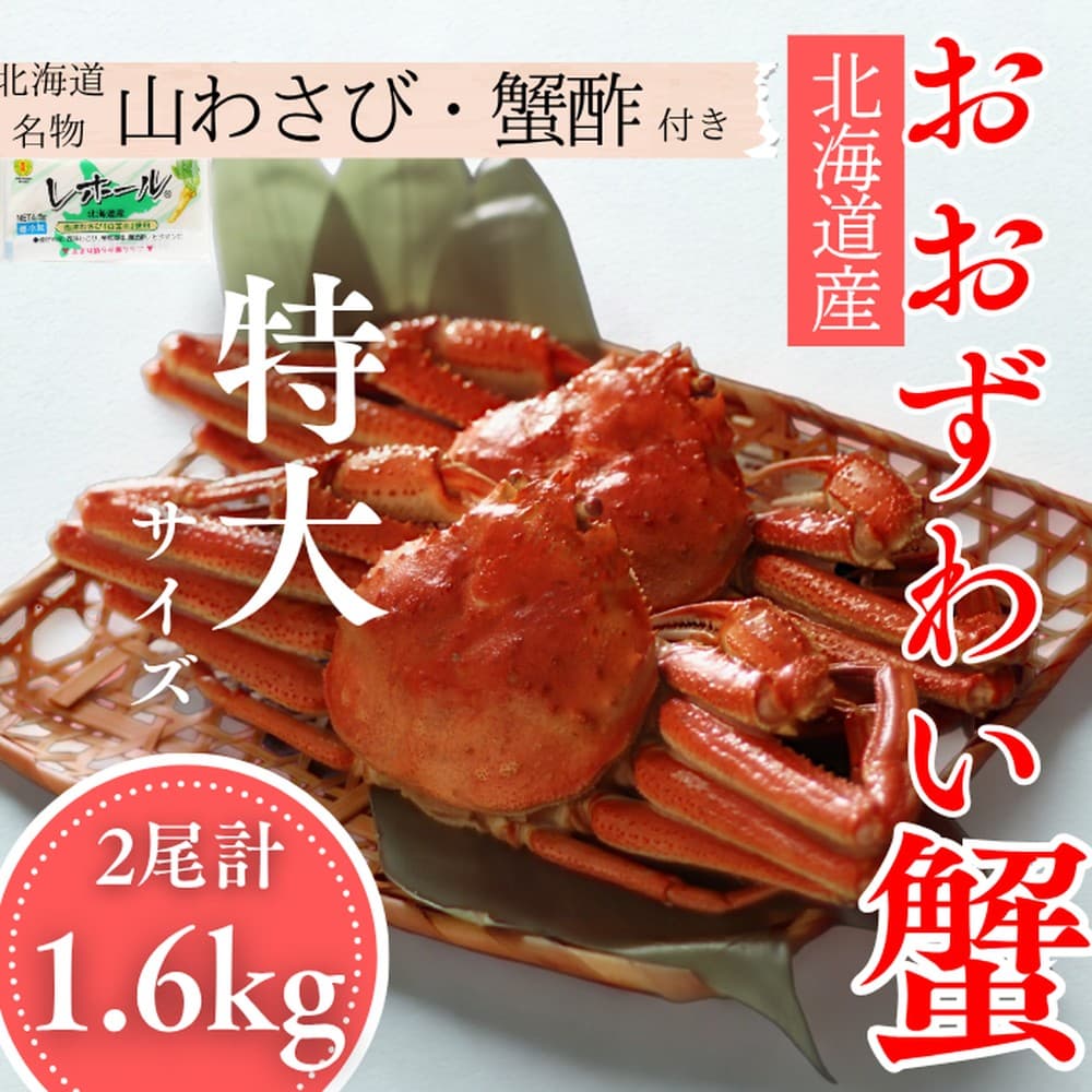 35-49 【北海道産】オオズワイガニ姿 特大サイズ2尾計1.6kg | 蟹酢・山わさび付 かに おおずわいがに