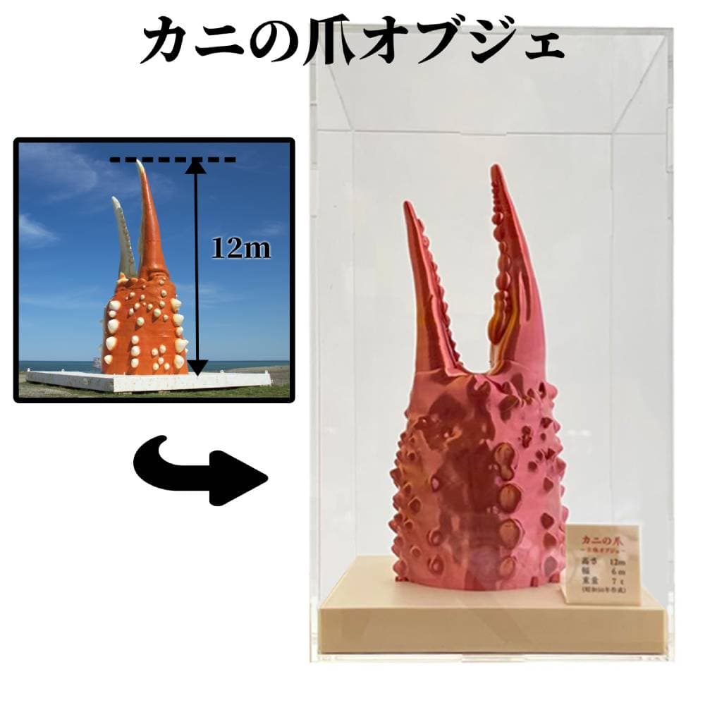 34-23 カニの爪オブジェ(大型)ケース付き