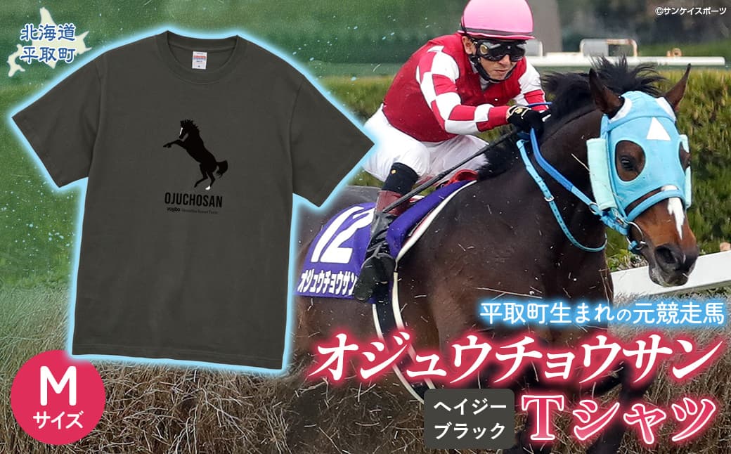 【オジュウチョウサン】Tシャツ _Mサイズ(ヘイジーブラック) BRTV004-2