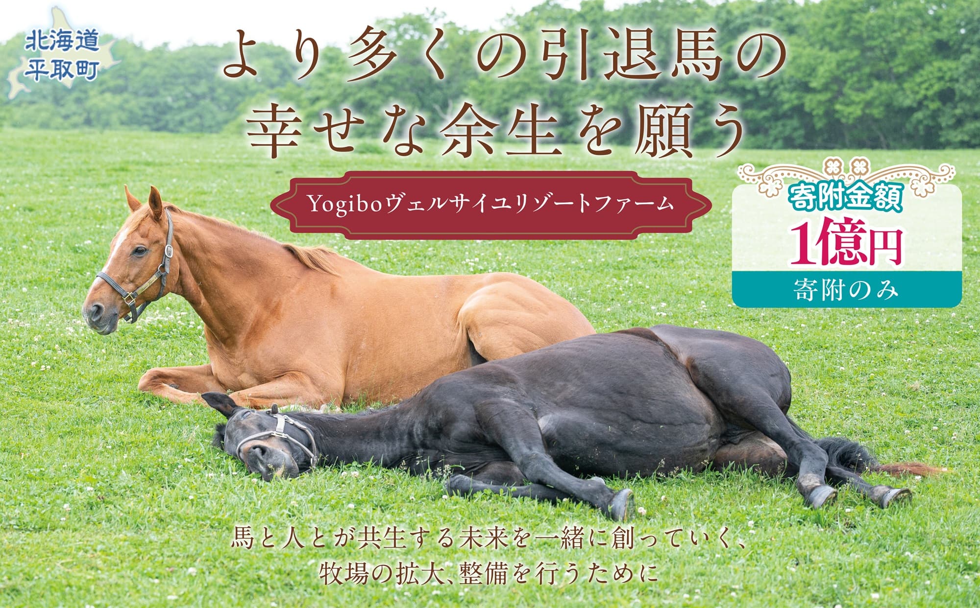 【1億円コース 返礼品無し】より多くの引退馬の幸せな余生を願う Yogiboヴェルサイユリゾートファーム BRTV024-08