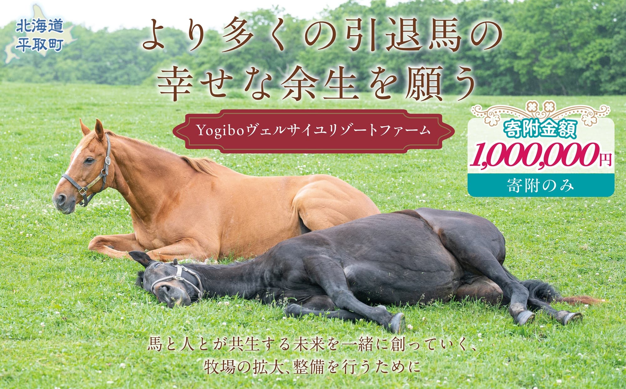 【100万円コース 返礼品無し】より多くの引退馬の幸せな余生を願う Yogiboヴェルサイユリゾートファーム BRTV024-06