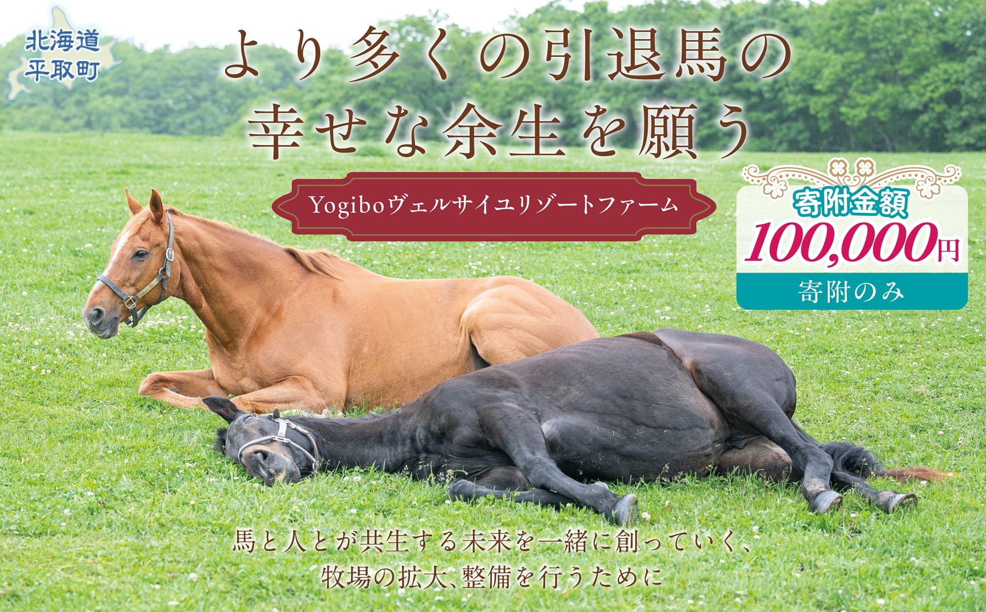 【10万円コース 返礼品無し】より多くの引退馬の幸せな余生を願う Yogiboヴェルサイユリゾートファーム BRTV024-05