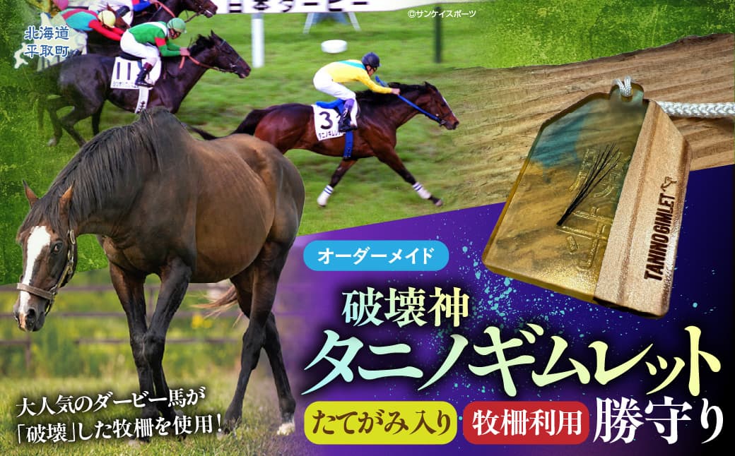 【御守り】破壊神タニノギムレットたてがみ入り牧柵利用勝守り BRTV100