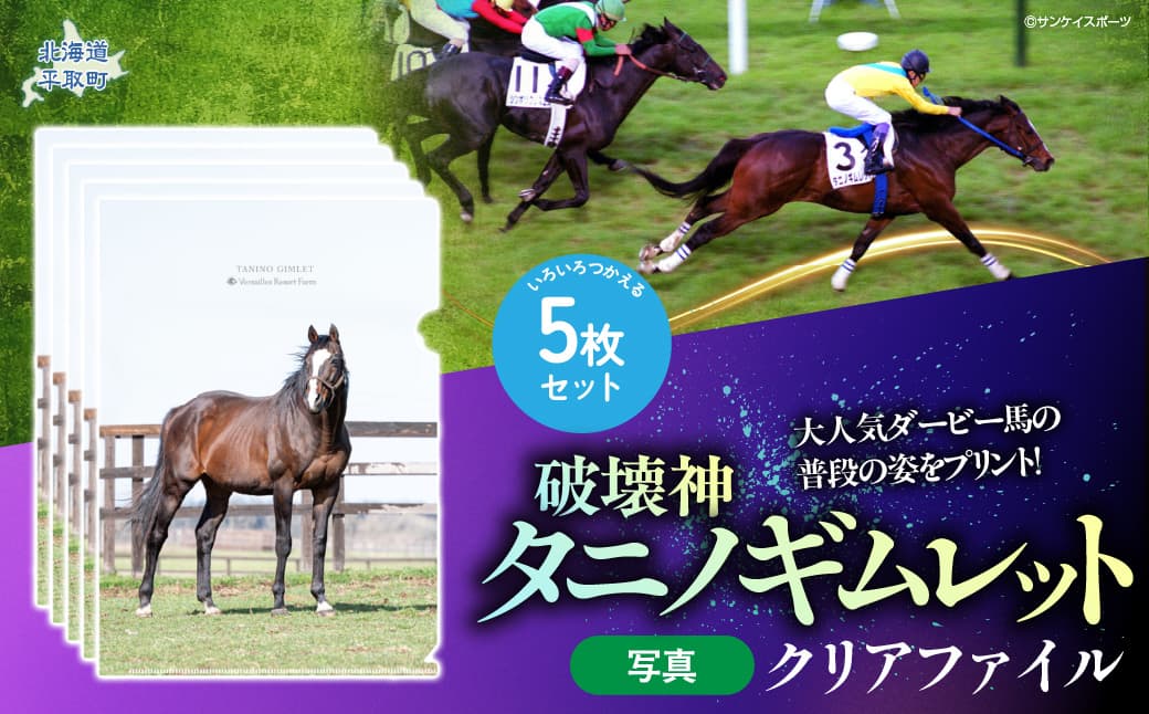 【破壊神タニノギムレット】クリアファイル5枚入り BRTV112