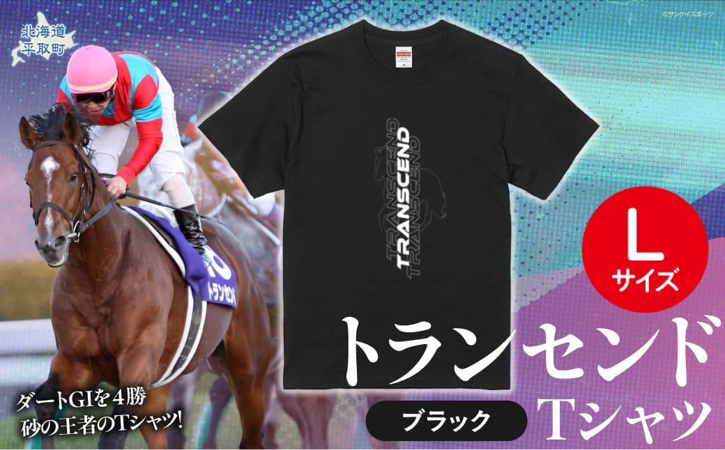 【トランセンド】Tシャツ 選べる4サイズ【L】 BRTV150-3