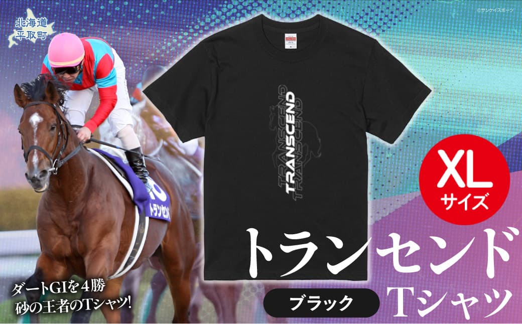 【トランセンド】Tシャツ 選べる4サイズ【XL】 BRTV150-4