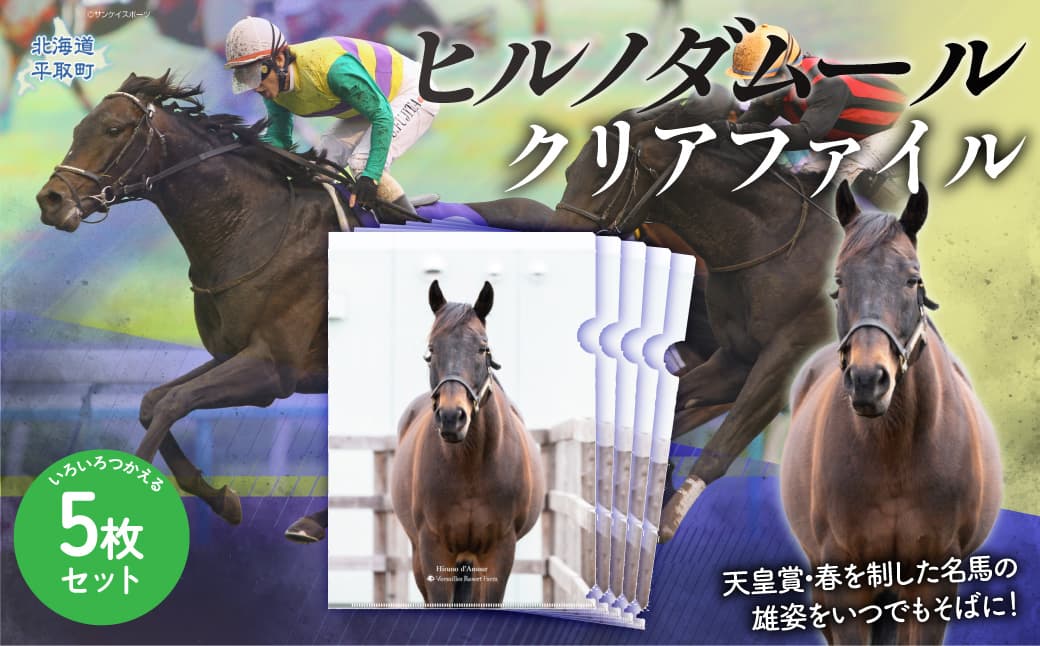 【ヒルノダムール】クリアファイル 写真5枚入り BRTV303