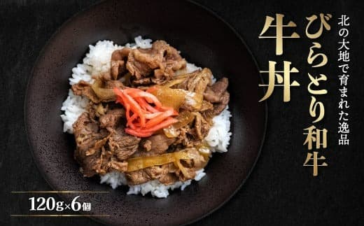 びらとり和牛牛丼120g6個 ふるさと納税 人気 おすすめ ランキング 和牛 肉 牛丼 北海道 平取町 送料無料 BRTB033