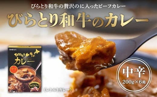 びらとり和牛カレー中辛200g×6箱 ふるさと納税 人気 おすすめ ランキング びらとり和牛 平取和牛 和牛 カレー 中辛 北海道 平取町 送料無料 BRTH019
