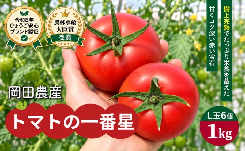 トマト 1kg トマトの一番星 野菜 とまと 完熟 高糖度 甘い 受賞 冷蔵配送