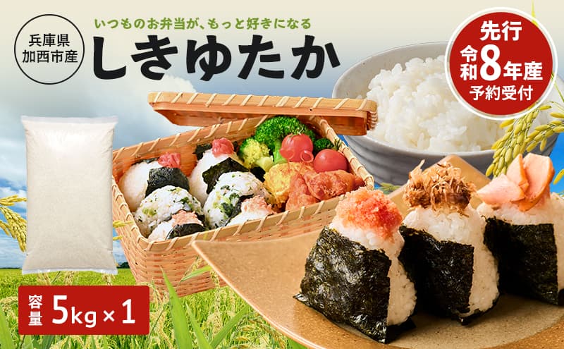 米 令和8年産 先行受付 しきゆたか 白米 5kg お米 精米 単一原料米 お弁当 おにぎり 冷めても美味しい 農業支援 就労者支援 日用品