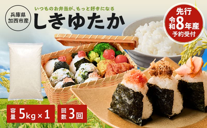 定期便 米 令和8年産 先行受付 しきゆたか 白米 5kg 3か月連続お届け お米 精米 単一原料米 お弁当 おにぎり 冷めても美味しい 農業支援 就労者支援 日用品