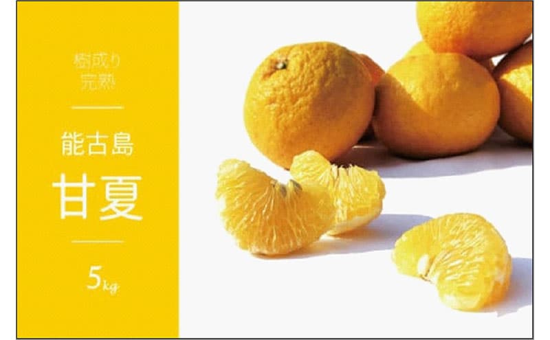 福岡県 能古島産 甘夏 5kg
