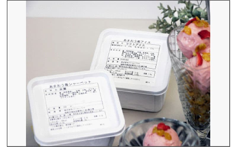 あまおう苺アイスとあまおう苺シャーベットのスペシャルセット 500ml×各1個