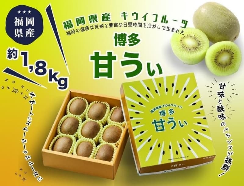 <2026年発送分・先行予約>博多「甘うい」の贅沢果実 約1.8kg キウイフルーツ キウイ