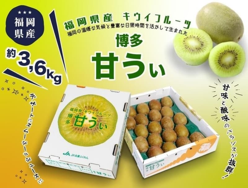 <2026年発送分・先行予約>博多「甘うい」の贅沢果実 約3.6kg キウイフルーツ キウイ