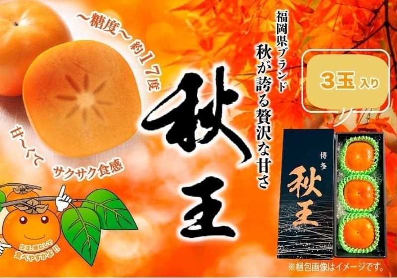 <2026年発送分・先行予約>秋王 3玉 約900g 柿 かき