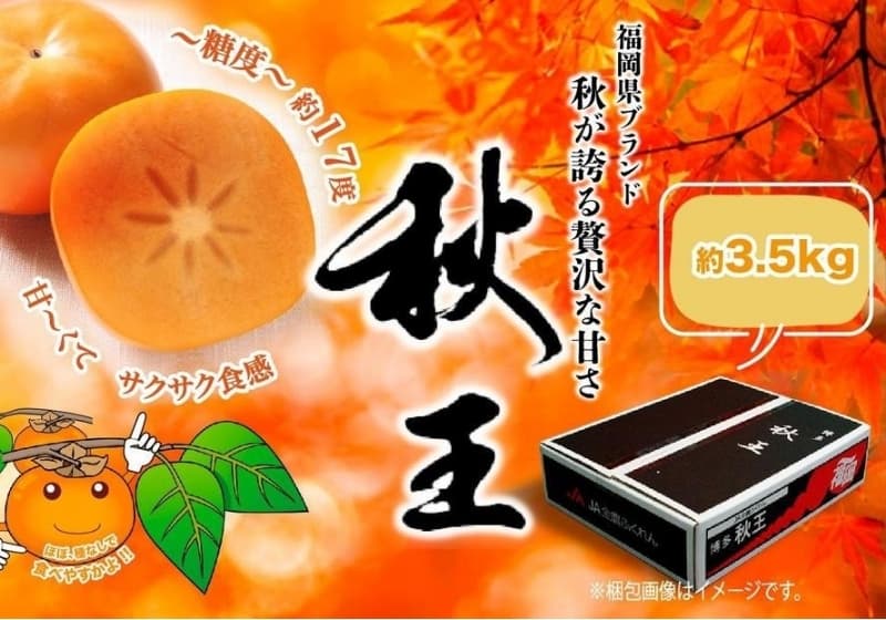 <2026年発送分・先行予約>秋王 約3.5kg(11~14玉入) 柿 かき