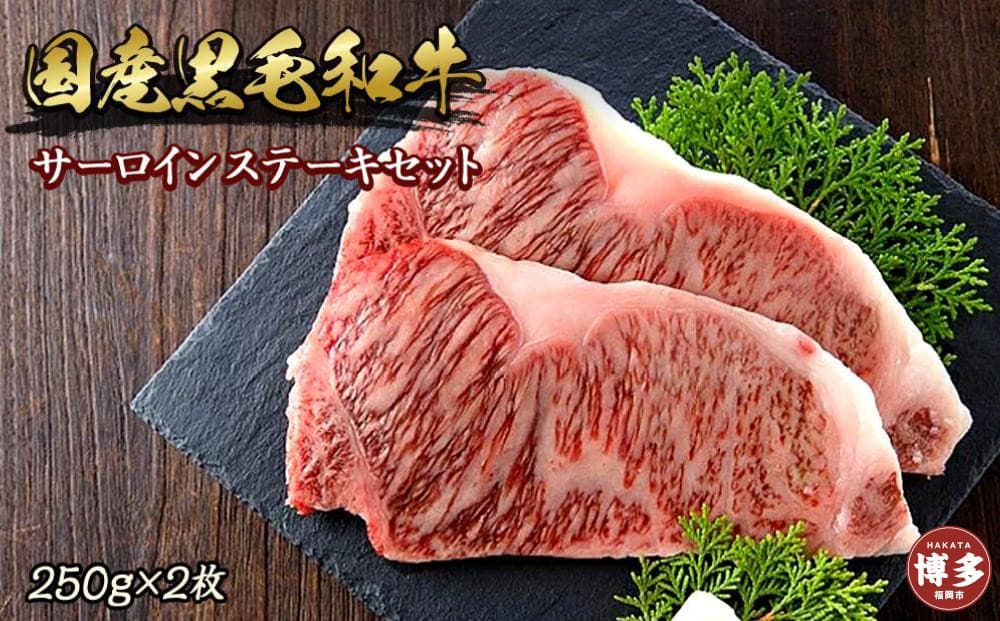 博多和牛サーロインステーキセット 500g(250g×2枚)