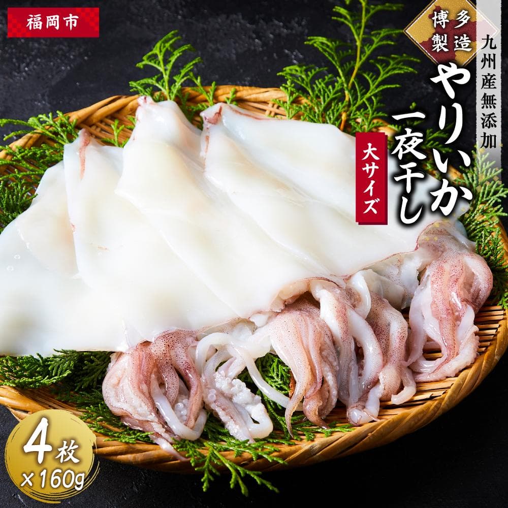 博多製造 九州産 やりいか一夜干し (大サイズ・160g×4)