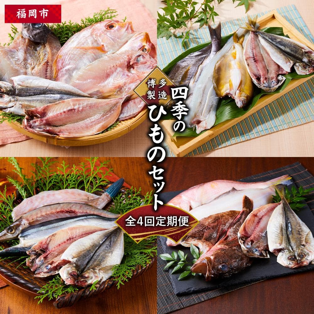 定期便 全4回 博多製造 四季のひものセット