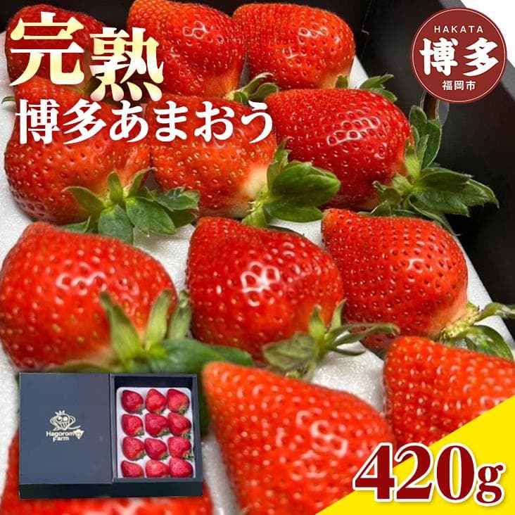 羽衣農園の 完熟あまおう DX等級 420g 9~15粒 フルーツ いちご イチゴ 苺 完熟 福岡市